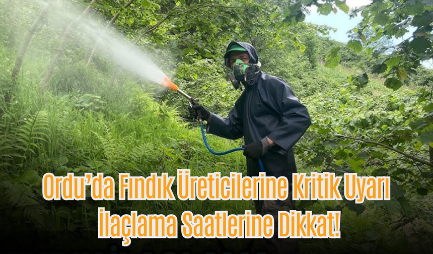 Ordu’da Fındık Üreticilerine Kritik Uyarı: İlaçlama Saatlerine Dikkat!