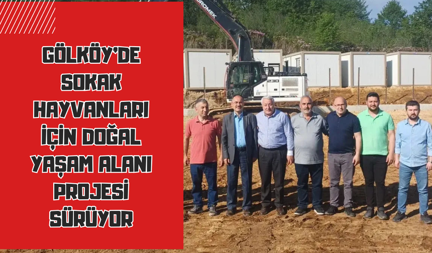 Gölköy’de Sokak Hayvanları İçin Doğal Yaşam Alanı Projesi Sürüyor
