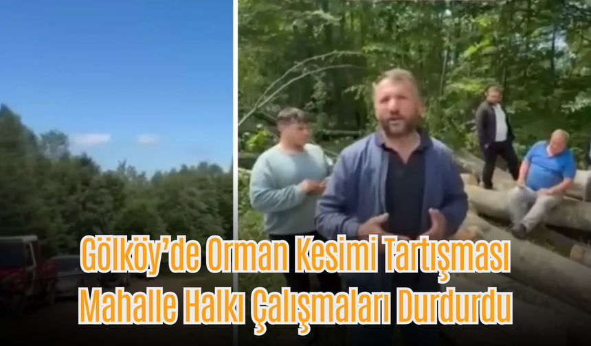 Gölköy’de Orman Kesimi Tartışması: Mahalle Halkı Çalışmaları Durdurdu