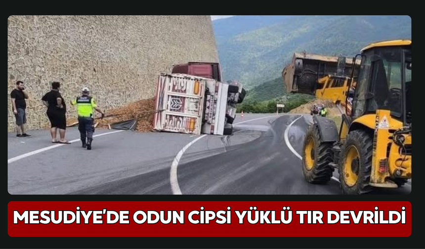 Mesudiye’de Odun Cipsi Yüklü Tır Devrildi