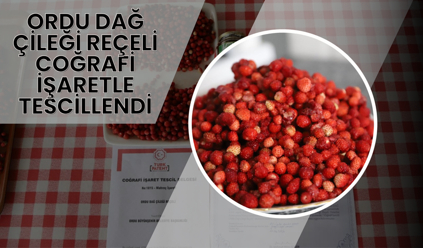 Ordu Dağ Çileği Reçeli Coğrafi İşaretle Tescillendi