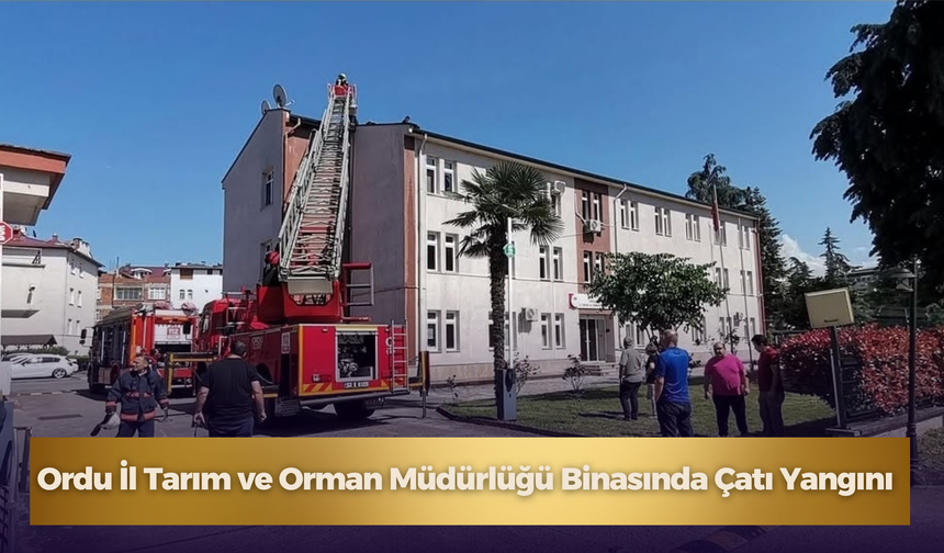 Ordu İl Tarım ve Orman Müdürlüğü Binasında Çatı Yangını