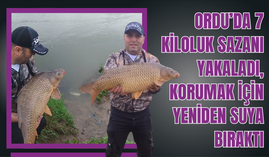 Ordu’da 7 Kiloluk Sazanı Yakaladı, Korumak İçin Yeniden Suya Bıraktı