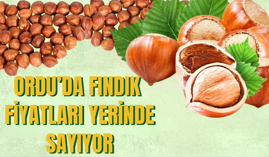 Ordu’da Fındık Fiyatları Yerinde Sayıyor