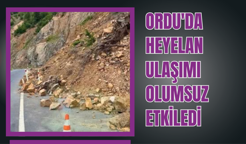 ORDU'DA HEYELAN ULAŞIMI OLUMSUZ ETKİLEDİ