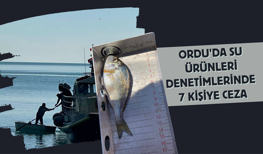 Ordu'da Su Ürünleri Denetimlerinde 7 Kişiye Ceza