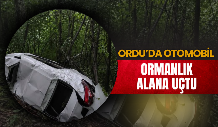 Ordu’da Otomobil Ormanlık Alana Uçtu