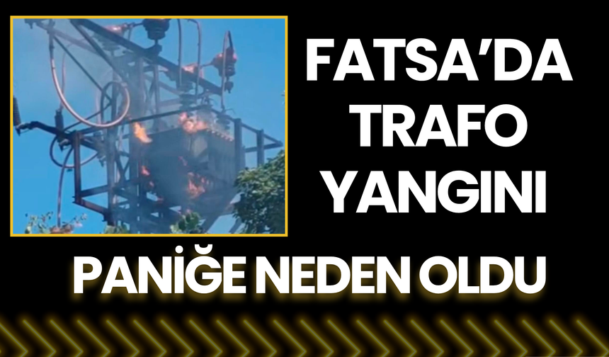 Fatsa’da Trafo Yangını Paniğe Neden Oldu