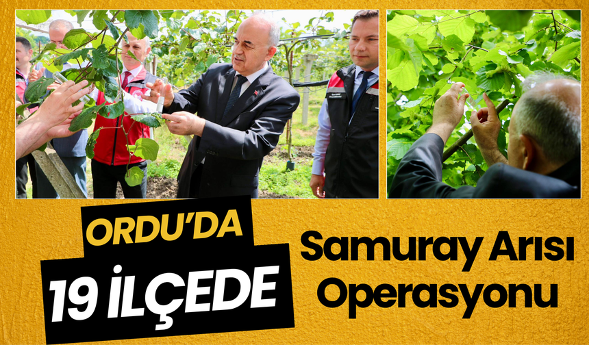 Ordu’da 19 İlçede Samuray Arısı Operasyonu