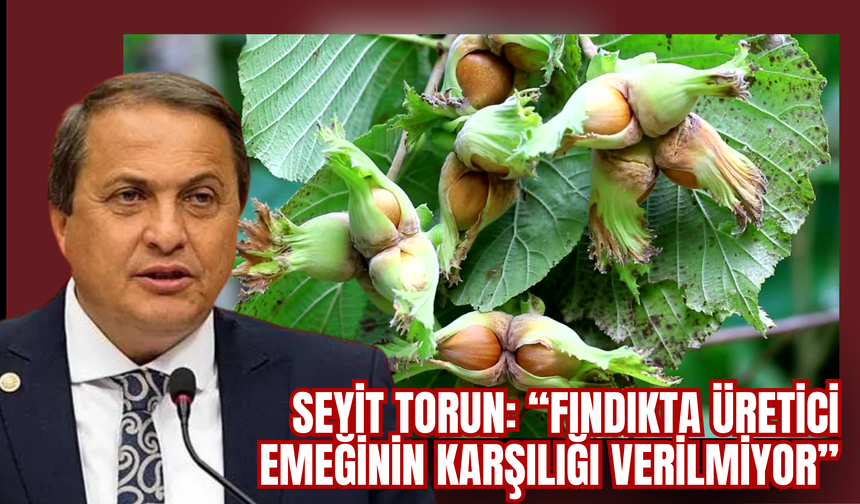 Seyit Torun: “Fındıkta Üretici Emeğinin Karşılığı Verilmiyor”