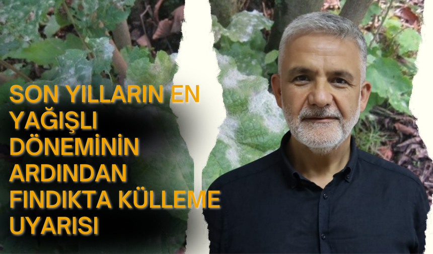Son Yılların En Yağışlı Döneminin Ardından Fındıkta Külleme Uyarısı