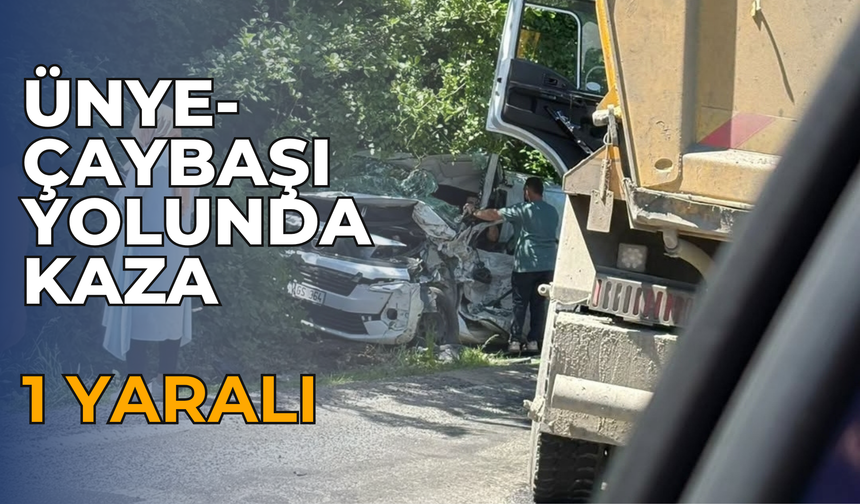Ünye-Çaybaşı Yolunda Kaza: 1 Yaralı