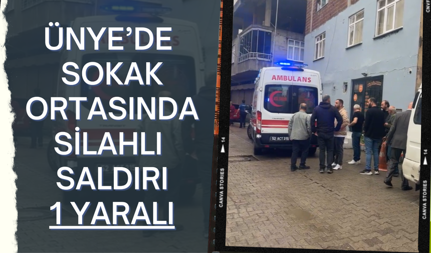 Ünye’de Sokak Ortasında Silahlı Saldırı: 1 Yaralı