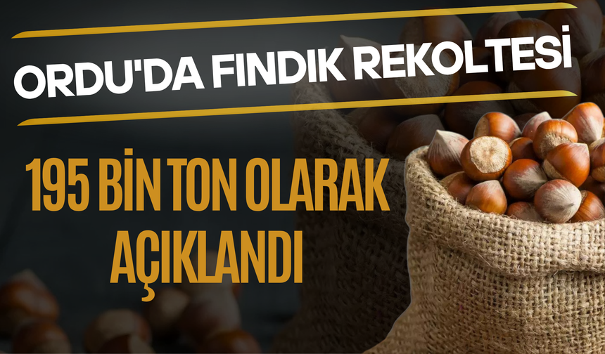 Ordu'da Fındık Rekoltesi 195 Bin Ton Olarak Tescil Edildi