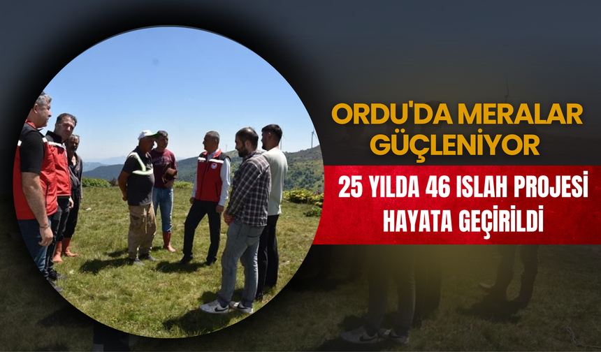 Ordu'da Meralar Güçleniyor: 25 Yılda 46 Islah Projesi Hayata Geçirildi