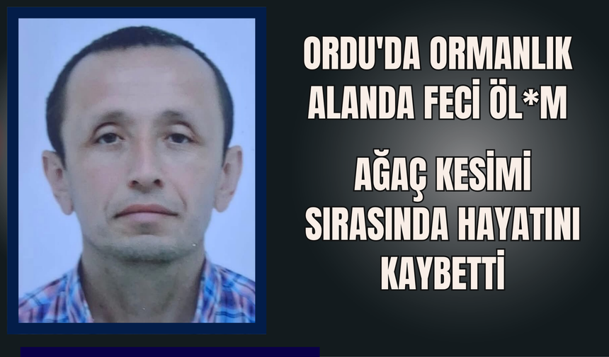 Ordu'da Ormanlık Alanda Feci Öl*m