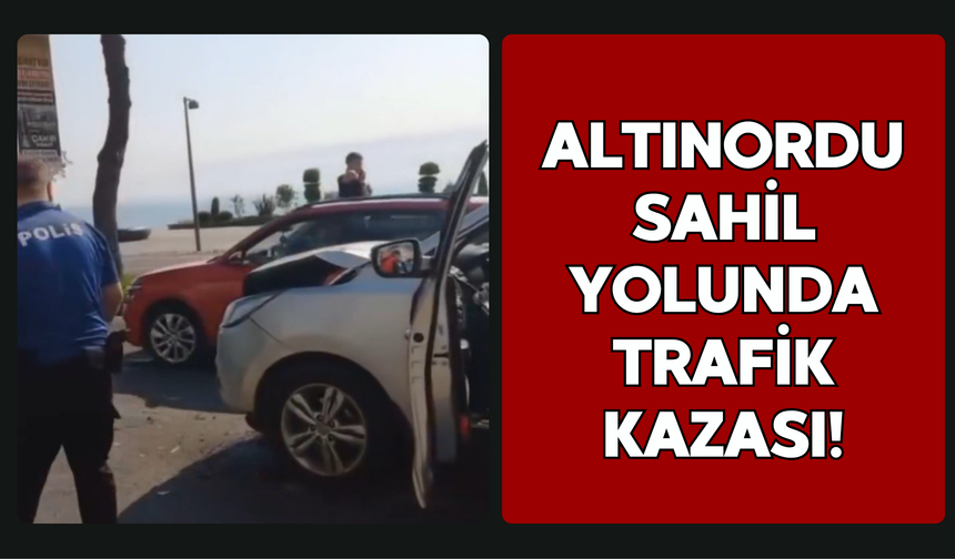 Altınordu Sahil Yolunda Trafik Kazası!
