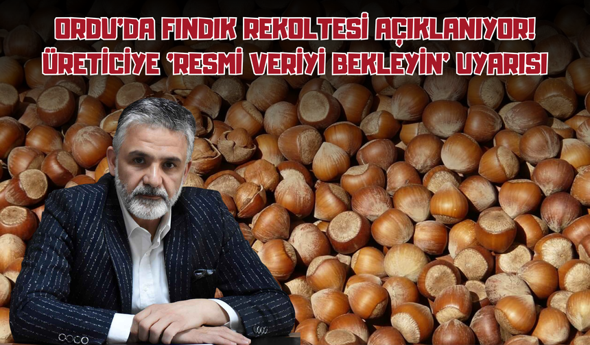 Ordu'da Fındık Rekoltesi Açıklanıyor! Üreticiye 'Resmi Veriyi Bekleyin' Uyarısı