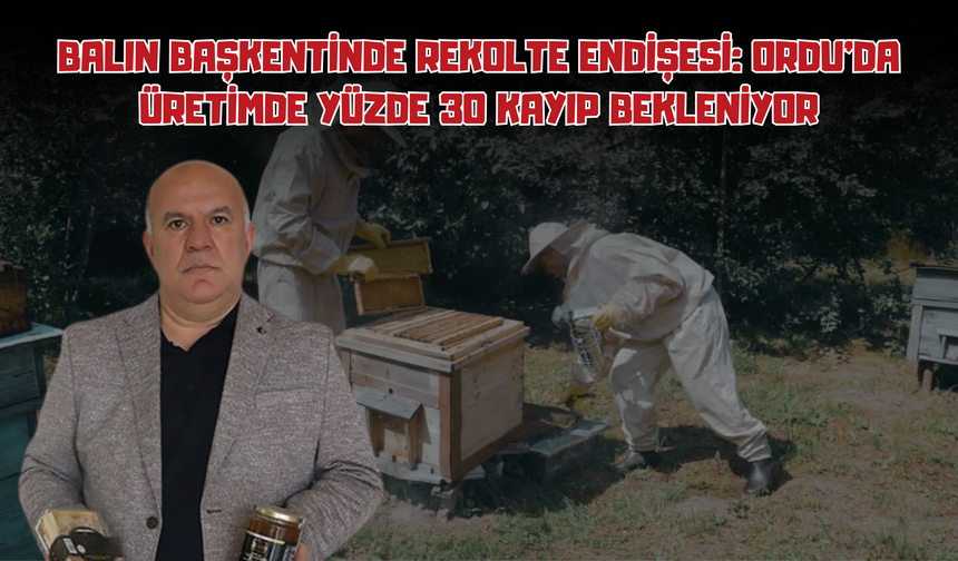 Balın Başkentinde Rekolte Endişesi: Ordu'da Üretimde Yüzde 30 Kayıp Bekleniyor