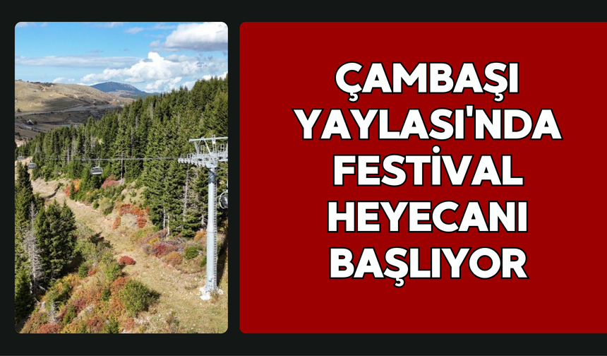 Çambaşı Yaylası'nda Festival Heyecanı Başlıyor