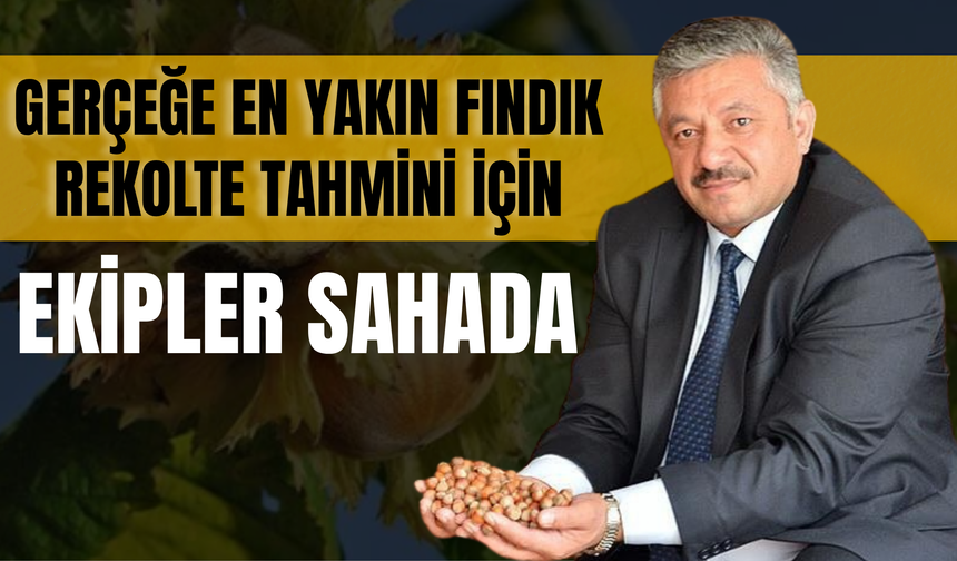 Gerçeğe En Yakın Fındık Rekolte Tahmini İçin Ekipler Sahada