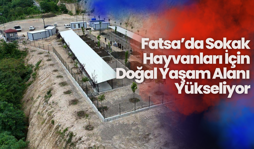 Fatsa’da Sokak Hayvanları İçin Doğal Yaşam Alanı Yükseliyor