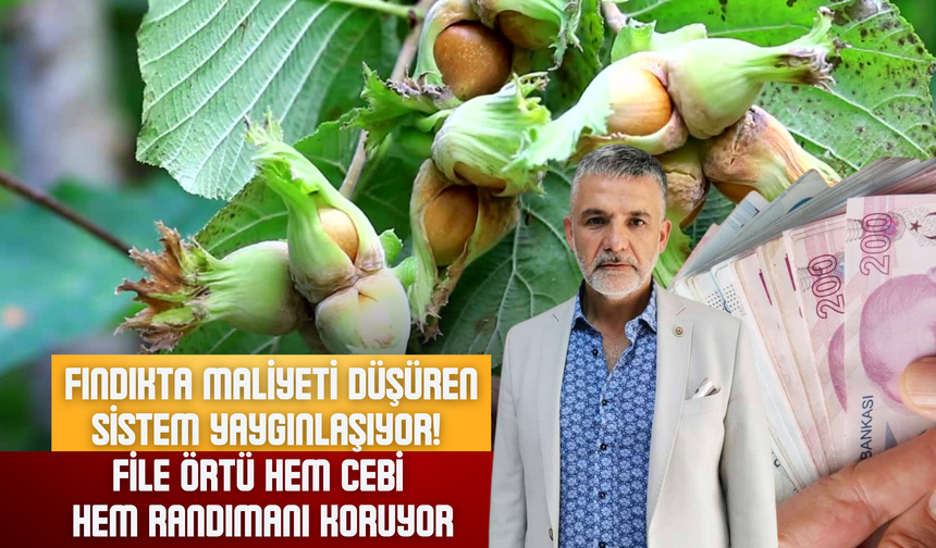 File Örtü Hem Cebi Hem Randımanı Koruyor