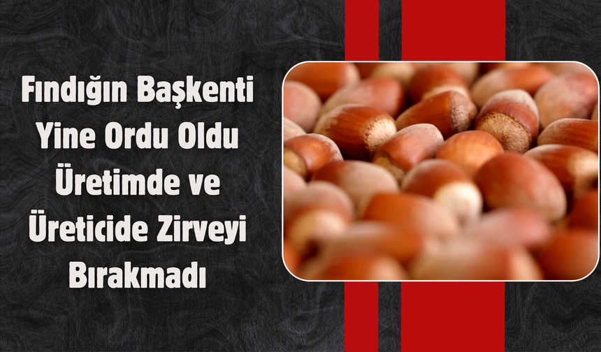 Fındığın Başkenti Yine Ordu Oldu: Üretimde ve Üreticide Zirveyi Bırakmadı