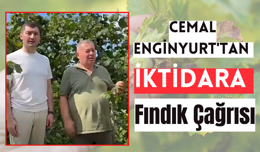 Cemal Enginyurt'tan İktidara Fındık Çağrısı