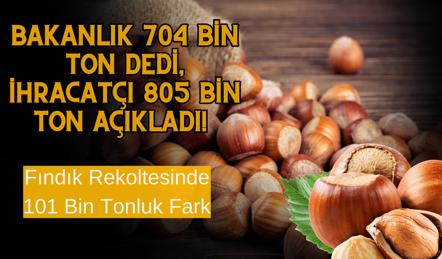 Bakanlık 704 Bin Ton Dedi, İhracatçı 805 Bin Ton Açıkladı! Fındık Rekoltesinde 101 Bin Tonluk Fark