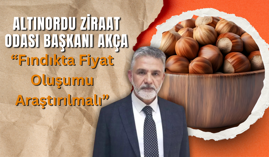 Altınordu Ziraat Odası Başkanı Akça, “Fındıkta Fiyat Oluşumu Araştırılmalı”