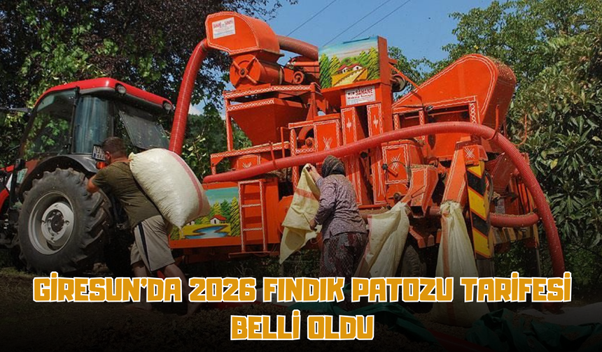 Giresun'da 2026 Fındık Patozu Tarifesi Belli Oldu