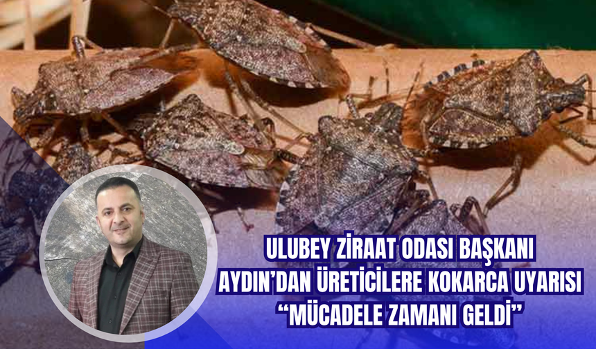 Ulubey Ziraat Odası Başkanı Aydın’dan Üreticilere Kokarca Uyarısı: “Mücadele Zamanı Geldi”