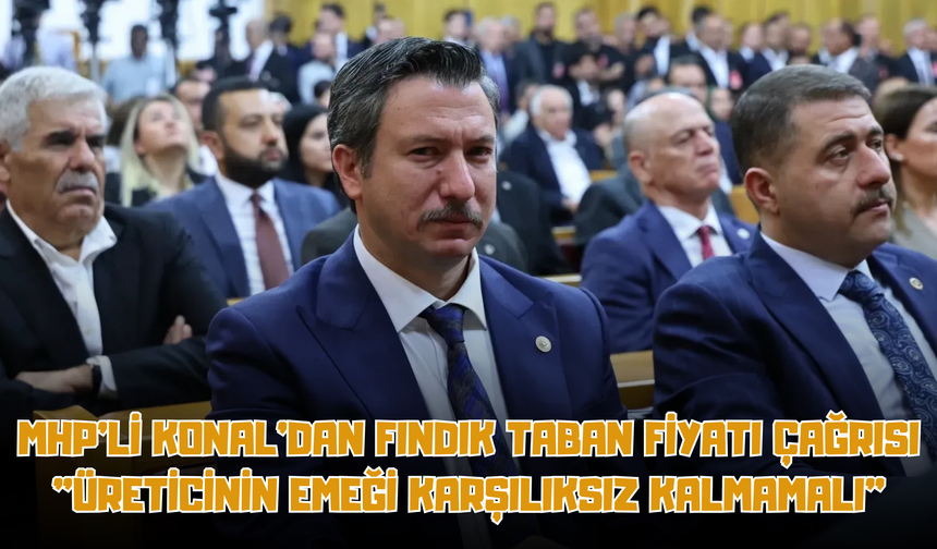 MHP'li Konal'dan Fındık Taban Fiyatı Çağrısı: "Üreticinin Emeği Karşılıksız Kalmamalı"