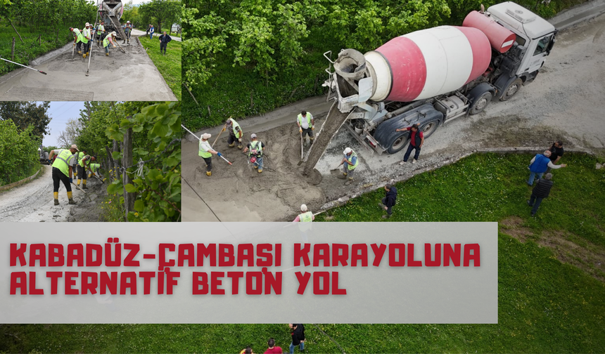 Altınordu Belediyesi’nden Turizm Güzergahlarına Konforlu Ulaşım Yatırımı