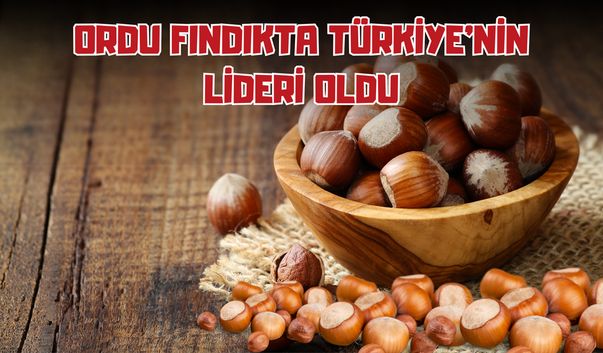 Ordu Fındıkta Türkiye'nin Lideri Oldu