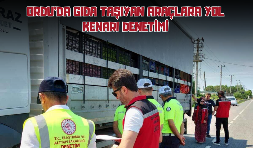 Ordu'da Gıda Taşıyan Araçlara Yol Kenarı Denetimi