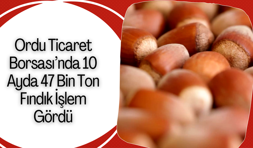 Ordu Ticaret Borsası’nda 10 Ayda 47 Bin Ton Fındık İşlem Gördü