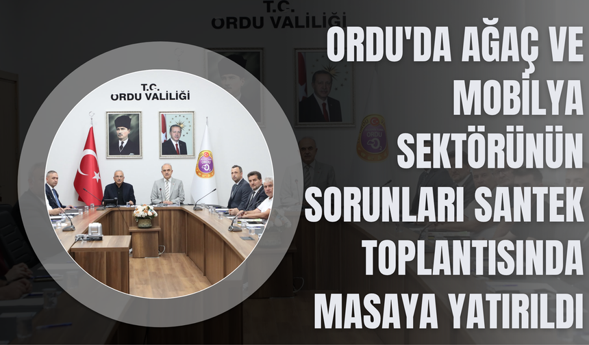 Ordu'da Ağaç ve Mobilya Sektörünün Sorunları SANTEK Toplantısında Masaya Yatırıldı
