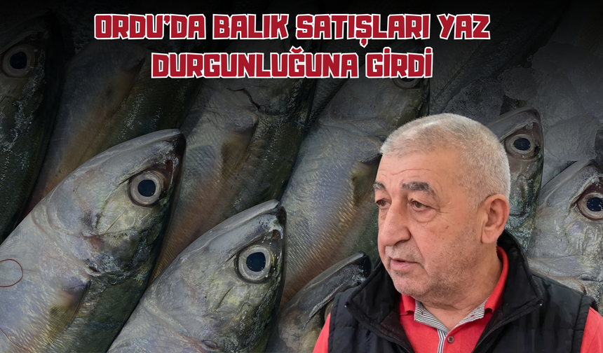 Ordu'da Balık Satışları Yaz Durgunluğuna Girdi
