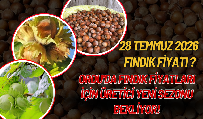 Ordu'da Fındık Fiyatları İçin Üretici Yeni Sezonu Bekliyor!