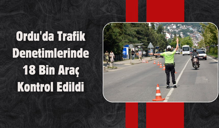 Ordu'da Trafik Denetimlerinde 18 Bin Araç Kontrol Edildi