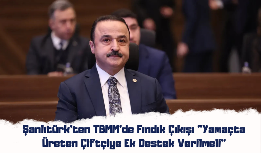 Şanlıtürk'ten TBMM'de Fındık Çıkışı: "Yamaçta Üreten Çiftçiye Ek Destek Verilmeli"