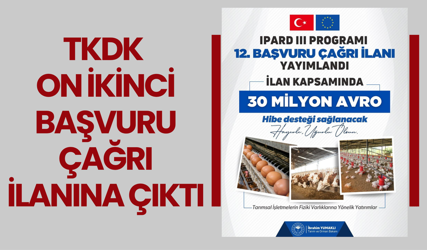 TKDK On İkinci Başvuru Çağrı İlanına Çıktı