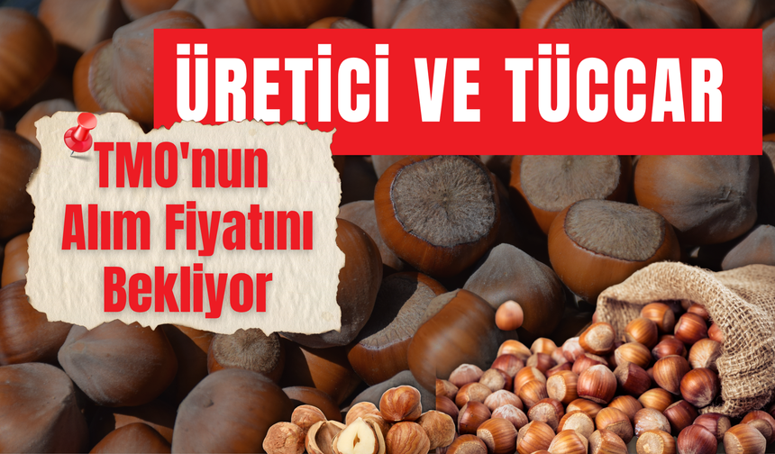 Üretici ve Tüccar TMO'nun Alım Fiyatını Bekliyor
