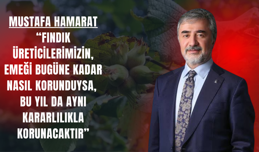 MUSTAFA HAMARAT: “FINDIK ÜRETİCİLERİMİZİN, EMEĞİ BUGÜNE KADAR NASIL KORUNDUYSA, BU YIL DA AYNI KARARLILIKLA KORUNACAKTIR