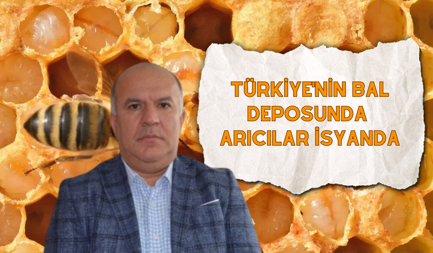 Türkiye'nin Bal Deposunda Arıcılar İsyanda