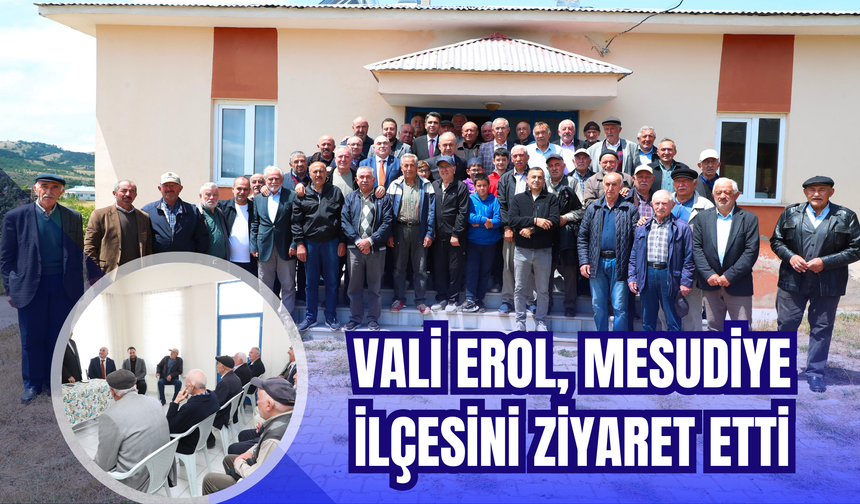 Vali Erol, Mesudiye İlçesini Ziyaret Etti