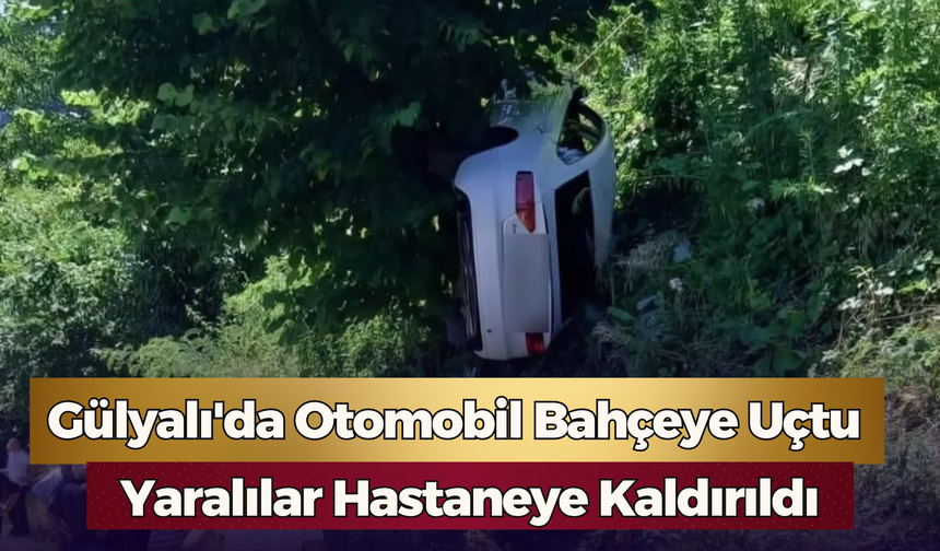 Gülyalı'da Otomobil Bahçeye Uçtu: Yaralılar Hastaneye Kaldırıldı