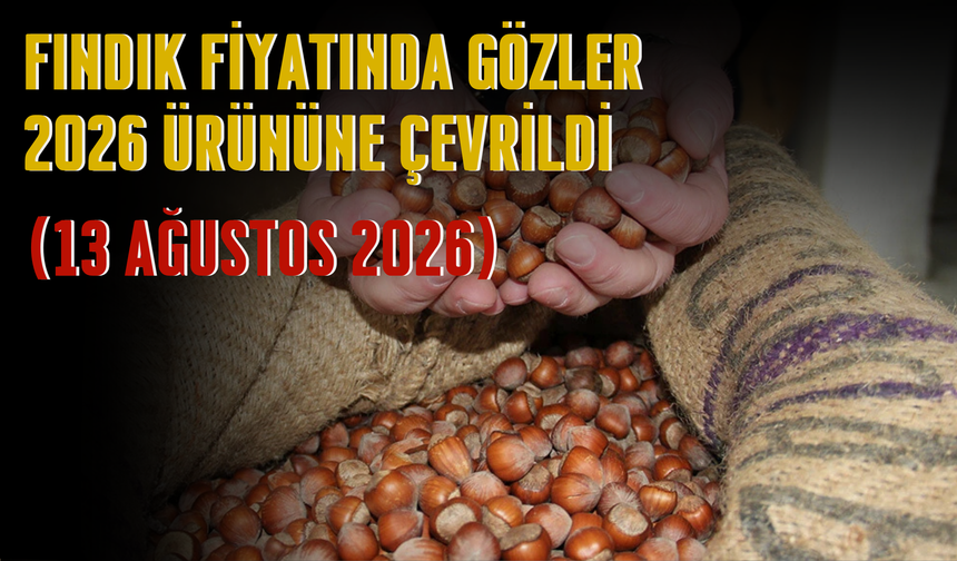 Fındık Fiyatında Gözler 2026 Ürününe Çevrildi (13 Ağustos 2026)